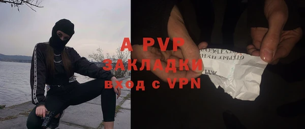 apvp Богородицк