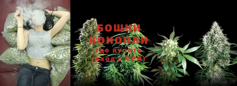 Конопля SATIVA & INDICA  Ялта 